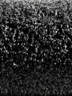 Hochflor-Teppich, Anthrazit -KayLa Verkaufsgeschäft 4334 16208 Halbrolle