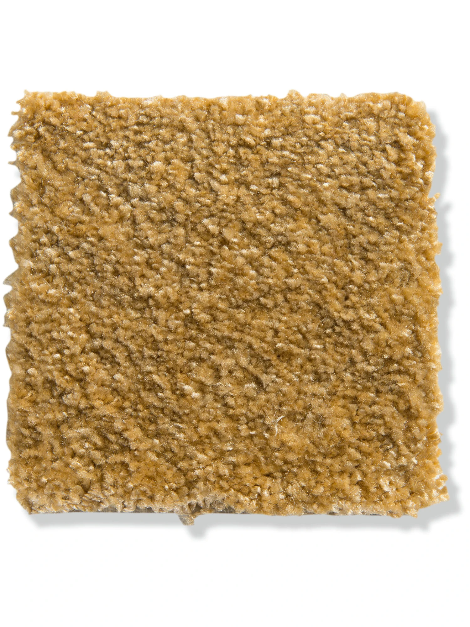 Velours-Teppichboden, Safran 54 4 Velours-Teppichboden, Safran 54 – Bild 2