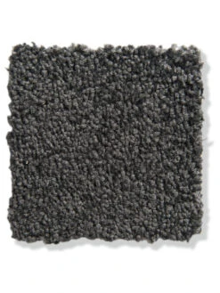 Titelseite 5 Titelseite -KayLa Verkaufsgeschäft Balance Veloursteppichboden dunkelgrau platinum177 lup2b