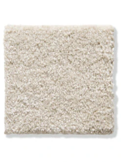 Titelseite 20 Titelseite -KayLa Verkaufsgeschäft Cirella VeloursTeppichboden Beige Creme35 10x10 lup202