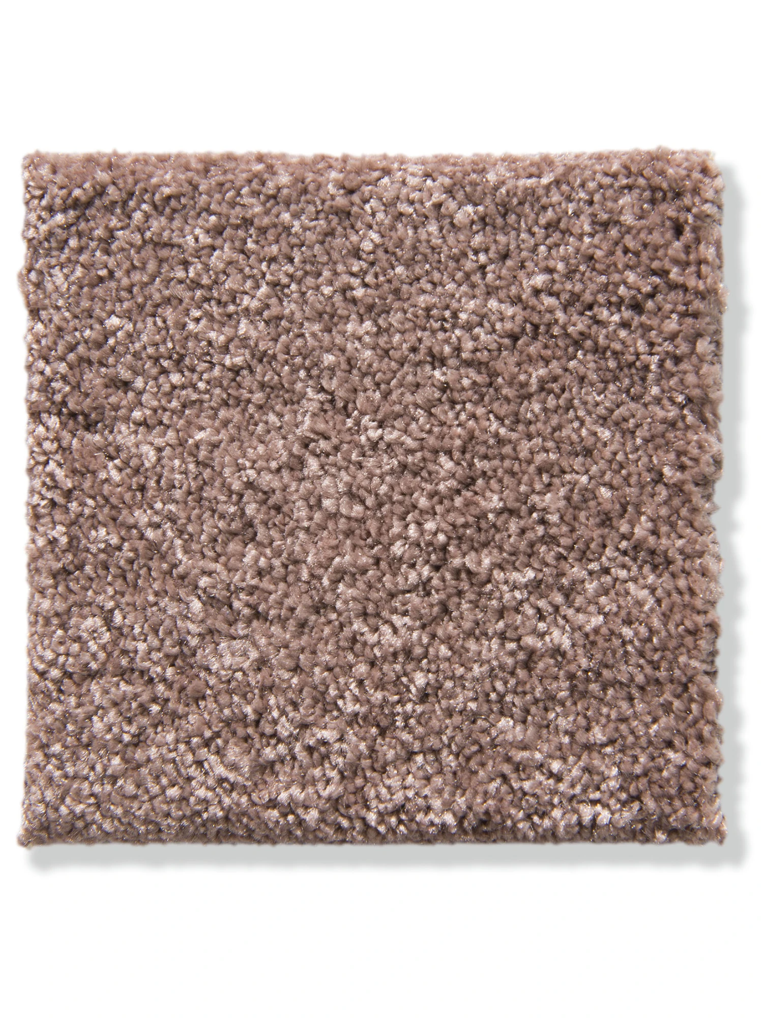 Velours-Teppichboden, Fraise 63 4 Velours-Teppichboden, Fraise 63 – Bild 2