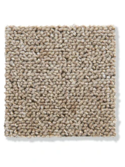 Schlingen-Teppichboden, Creme 13