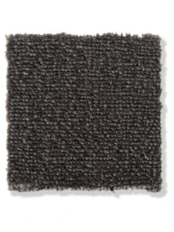 Velours-Teppichboden, Graphit 99 10 Velours-Teppichboden, Graphit 99 -KayLa Verkaufsgeschäft Emotion Veloursteppichboden dunkelgrau graphit99 lup2