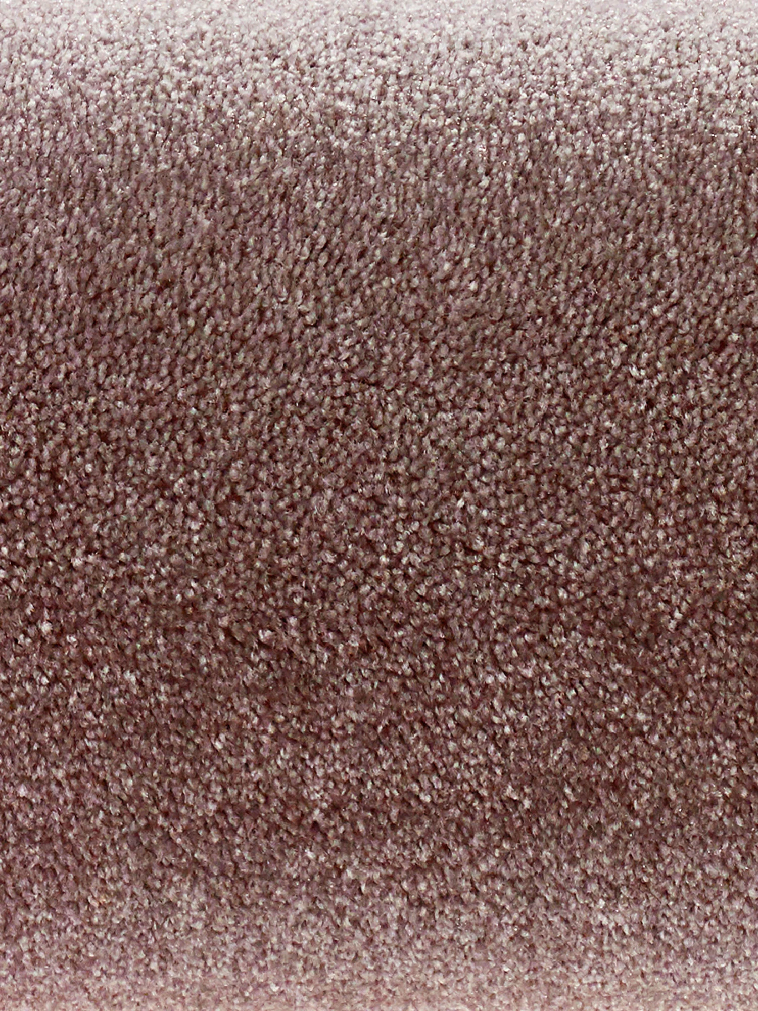 Velours-Teppichboden, Fraise 60 6 Velours-Teppichboden, Fraise 60 – Bild 4