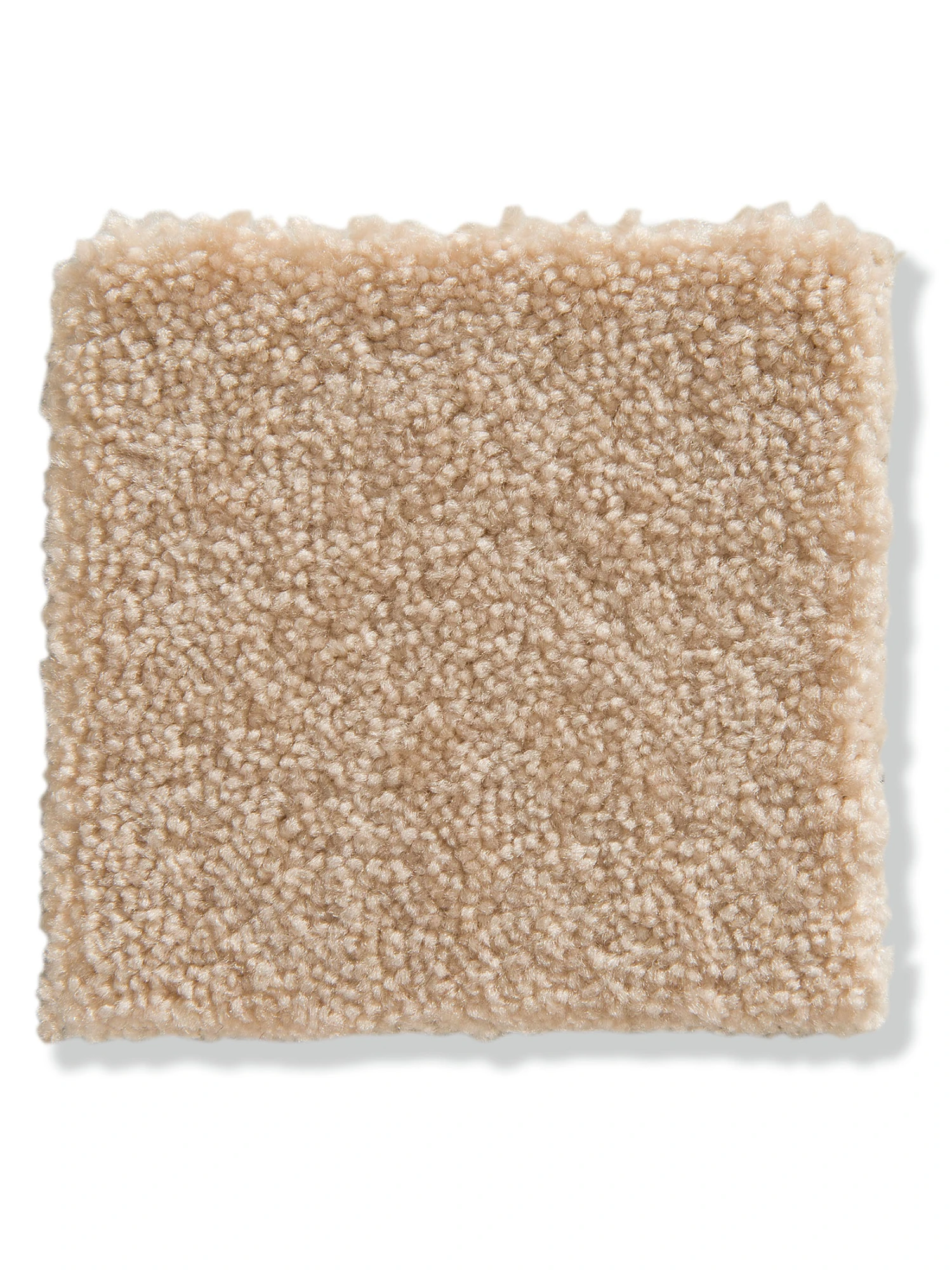 Velours-Teppichboden, Natur 4 Velours-Teppichboden, Natur – Bild 2