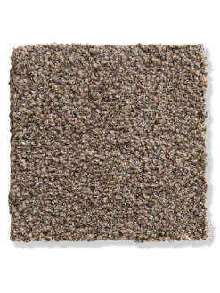 Titelseite 12 Titelseite -KayLa Verkaufsgeschäft Kensington Veloursteppichboden braun lattemacchiato92 lup