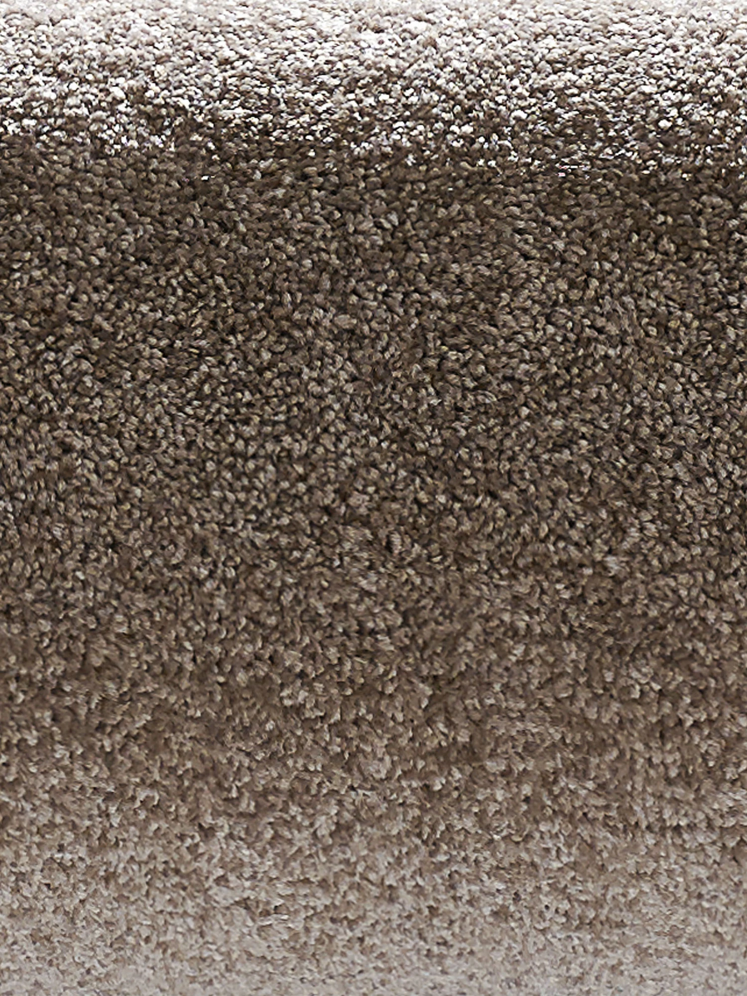 Velours-Teppichboden, Mandel 76 5 Velours-Teppichboden, Mandel 76 – Bild 3