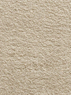 Hochflor-Teppich, Hellbeige 9 Hochflor-Teppich, Hellbeige -KayLa Verkaufsgeschäft Lounge UniTeppich Hellbeige 200rund lup2