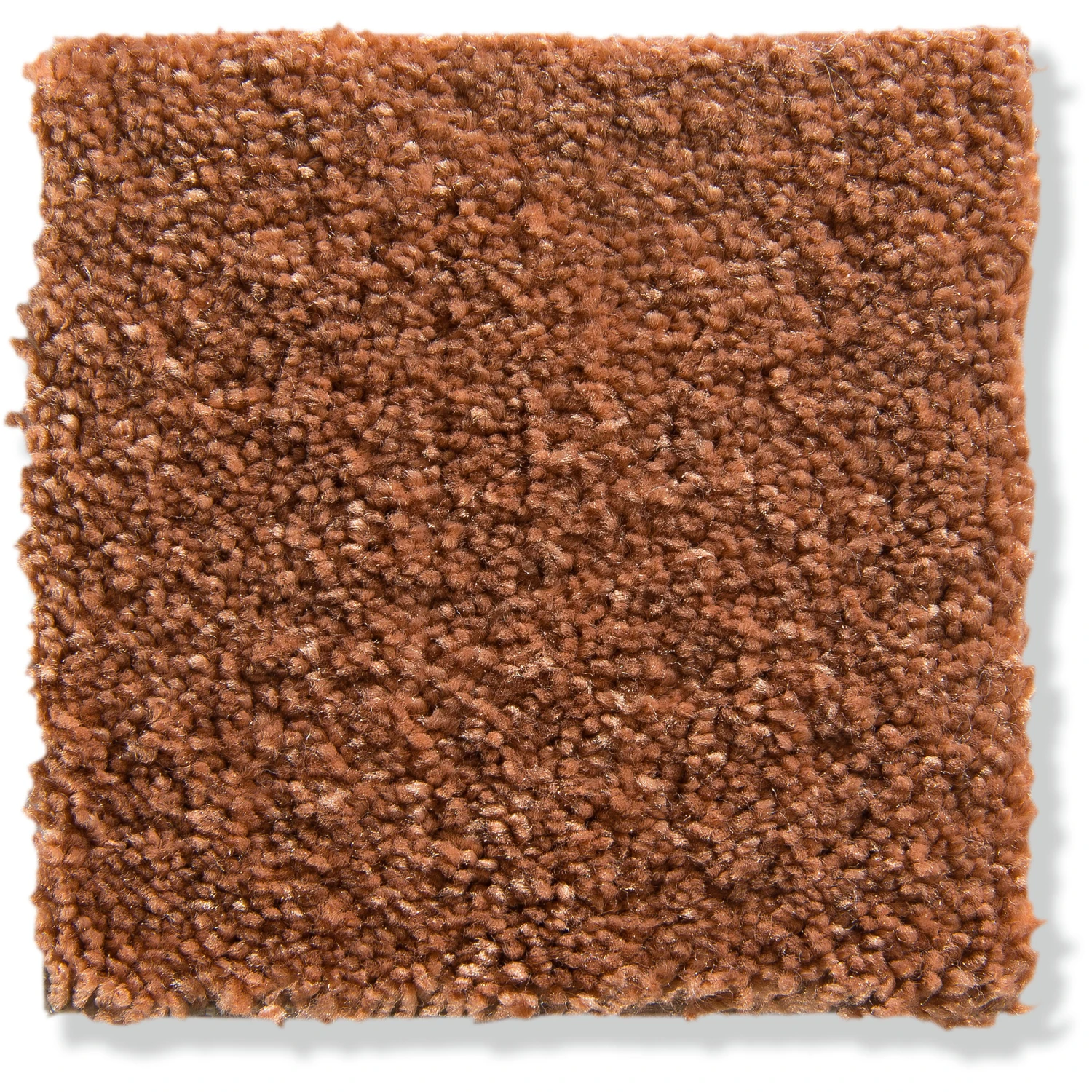 Velours-Teppichboden, Kupfer 84 4 Velours-Teppichboden, Kupfer 84 – Bild 2