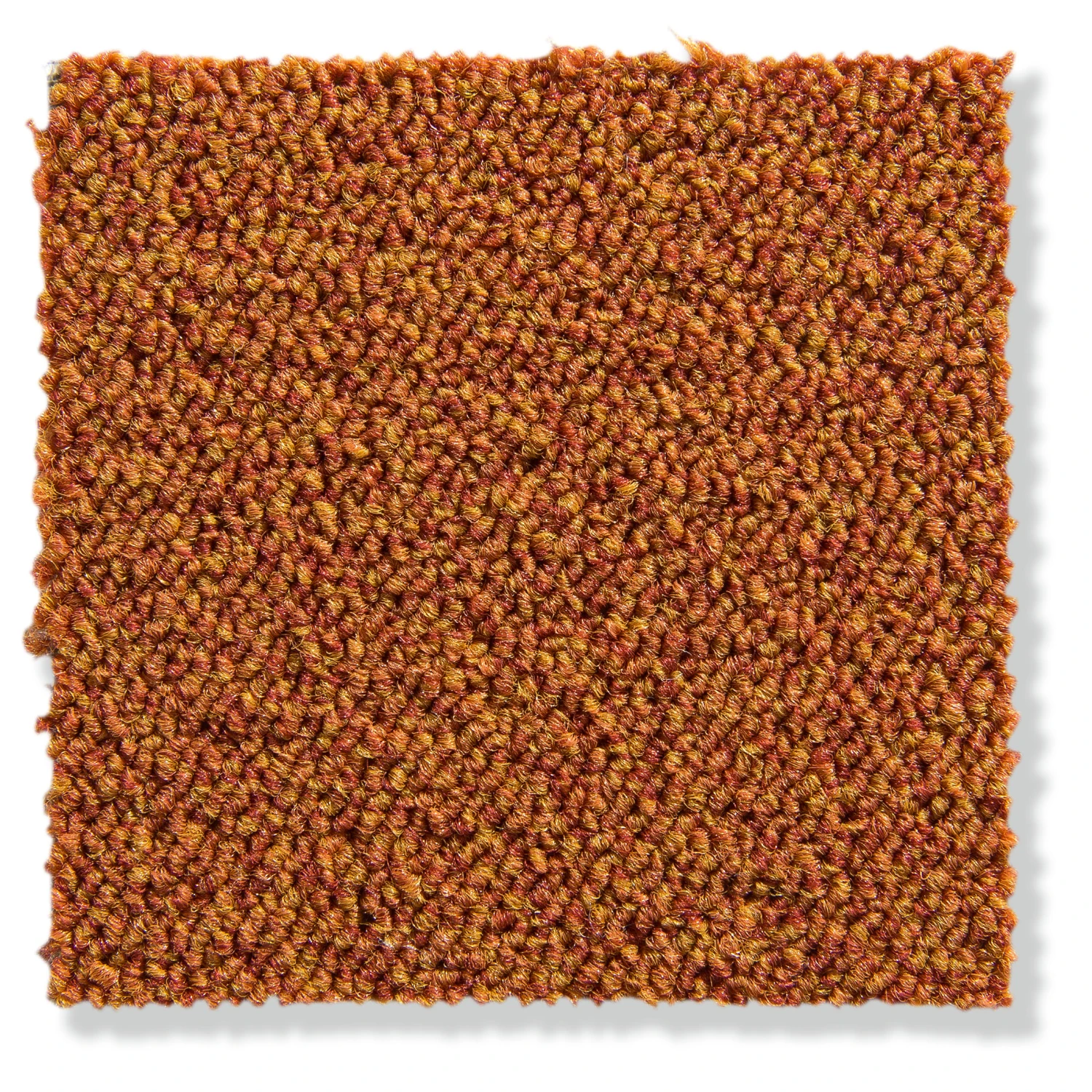 Schlingen-Teppichboden, Terra 3 Schlingen-Teppichboden, Terra