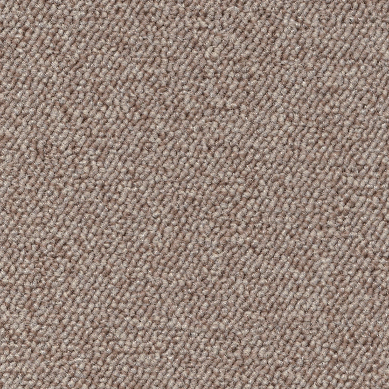 Schlingen-Teppichboden, Beige 5 Schlingen-Teppichboden, Beige – Bild 3
