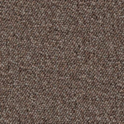 Schlingen-Teppichboden, Hellbraun 37 7 Schlingen-Teppichboden, Hellbraun 37 -KayLa Verkaufsgeschäft Optimal Schlingenteppichboden hellbraun 37 lup1