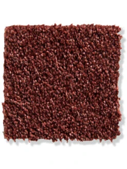 Titelseite 16 Titelseite -KayLa Verkaufsgeschäft Praia VeloursTeppichboden Dunkelrot Ziegel35 10x10 lup