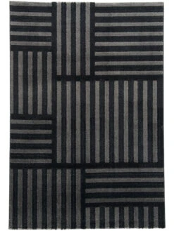 Titelseite 32 Titelseite -KayLa Verkaufsgeschäft Rieseby ModernerTeppich Dunkelgrau Anthrazit 160x230 pla