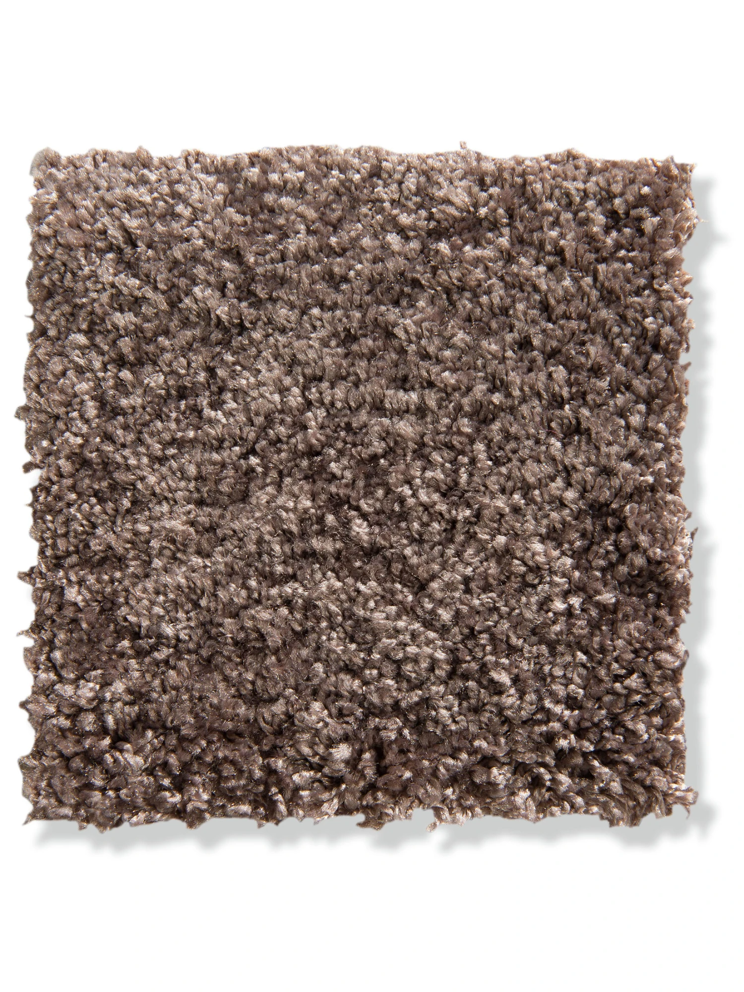 Velours-Teppichboden, Tabak 4 Velours-Teppichboden, Tabak – Bild 2