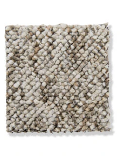 Schlingen-Teppichboden, Braun 25 8 Schlingen-Teppichboden, Braun 25 -KayLa Verkaufsgeschäft Scarlet Schlingenteppichboden braun 25 lup