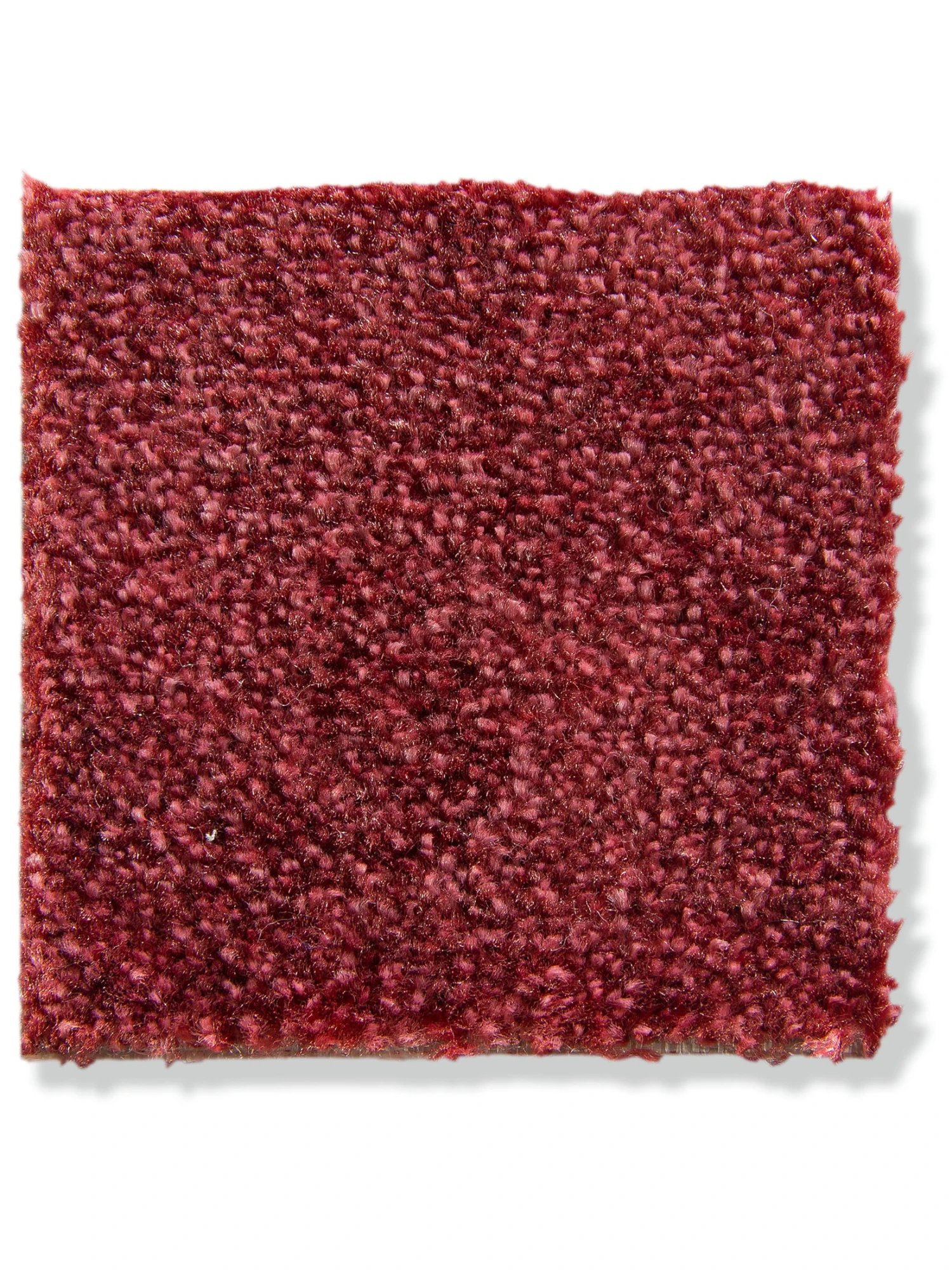 Velours-Teppichboden, Beere 16 3 Velours-Teppichboden, Beere 16