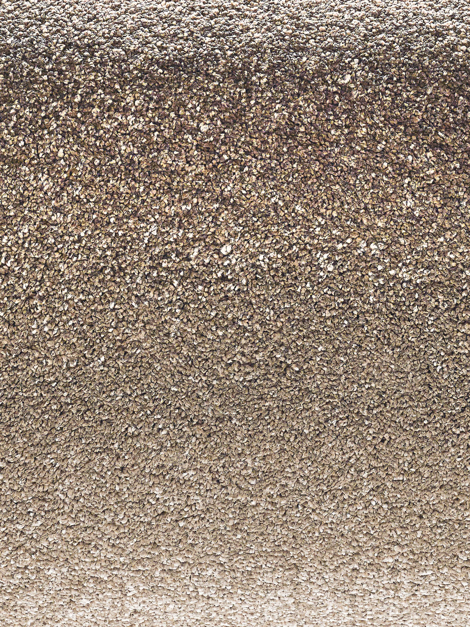 Hochflor-Teppich, Savanne 5 Hochflor-Teppich, Savanne – Bild 3