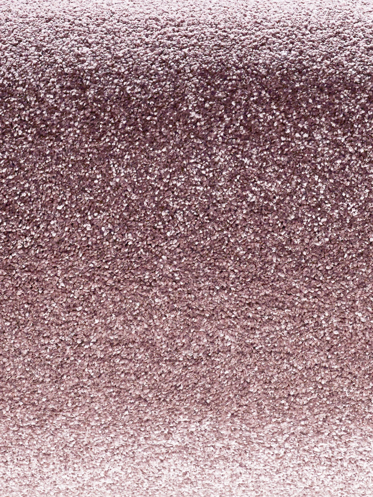 Hochflor-Teppich, Mauve 5 Hochflor-Teppich, Mauve – Bild 3
