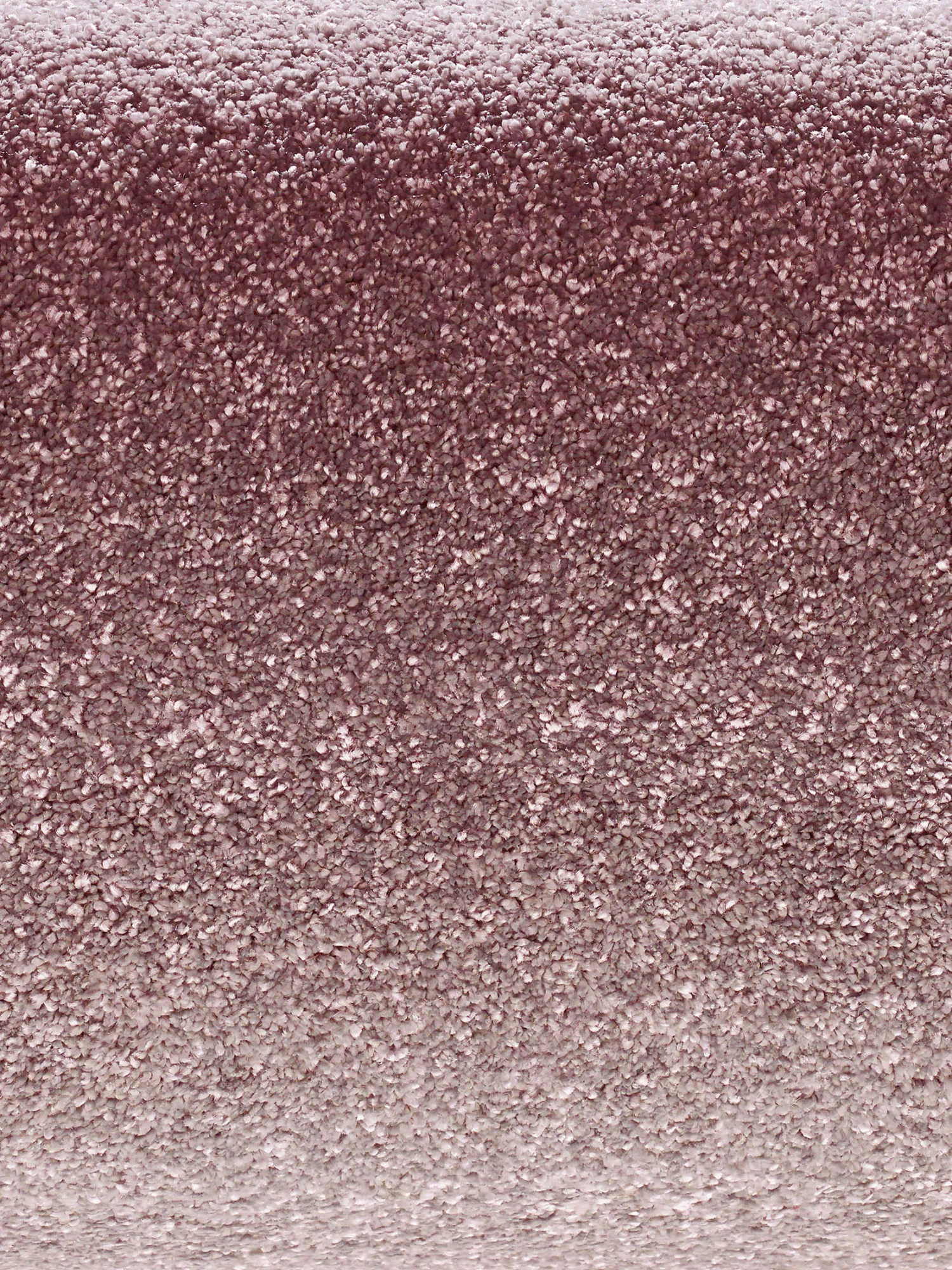 Hochflor-Teppich, Lachs 4 Hochflor-Teppich, Lachs – Bild 2