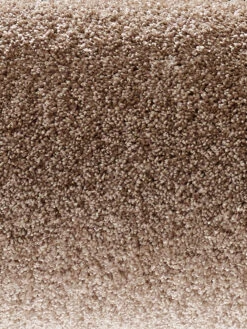 Velours-Teppichboden, Sand 35 -KayLa Verkaufsgeschäft Symphonie VeloursTeppichboden Beige Beige35 hro