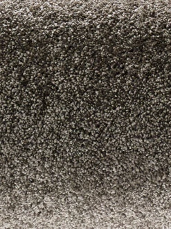 Velours-Teppichboden, Taupe 97 -KayLa Verkaufsgeschäft Symphonie VeloursTeppichboden Grau Taupe97 hro