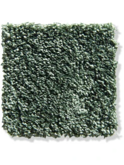 Titelseite 18 Titelseite -KayLa Verkaufsgeschäft Symphonie VeloursTeppichboden Gruen Olive27 10x10 lup