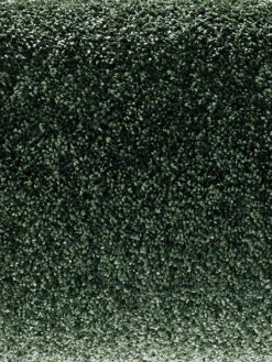 Velours-Teppichboden, Olive 27 7 Velours-Teppichboden, Olive 27 -KayLa Verkaufsgeschäft Symphonie VeloursTeppichboden Gruen Olive27 hro