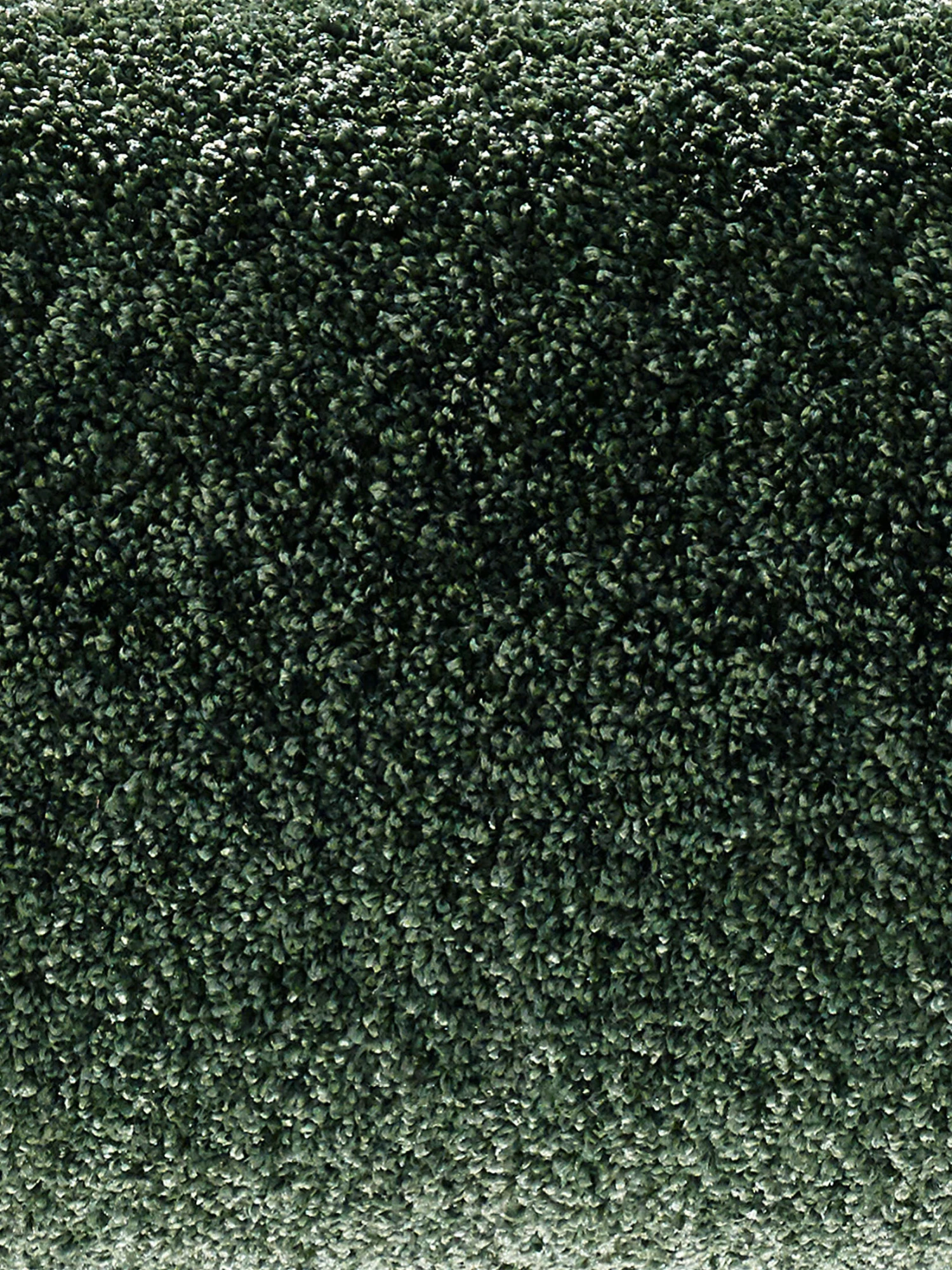 Velours-Teppichboden, Olive 27 5 Velours-Teppichboden, Olive 27 – Bild 3