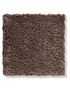 Velours-Teppichboden, Mocca 44 8 Velours-Teppichboden, Mocca 44 -KayLa Verkaufsgeschäft Vicenza Veloursteppichboden Dunkelbraun Mocca44 lupB