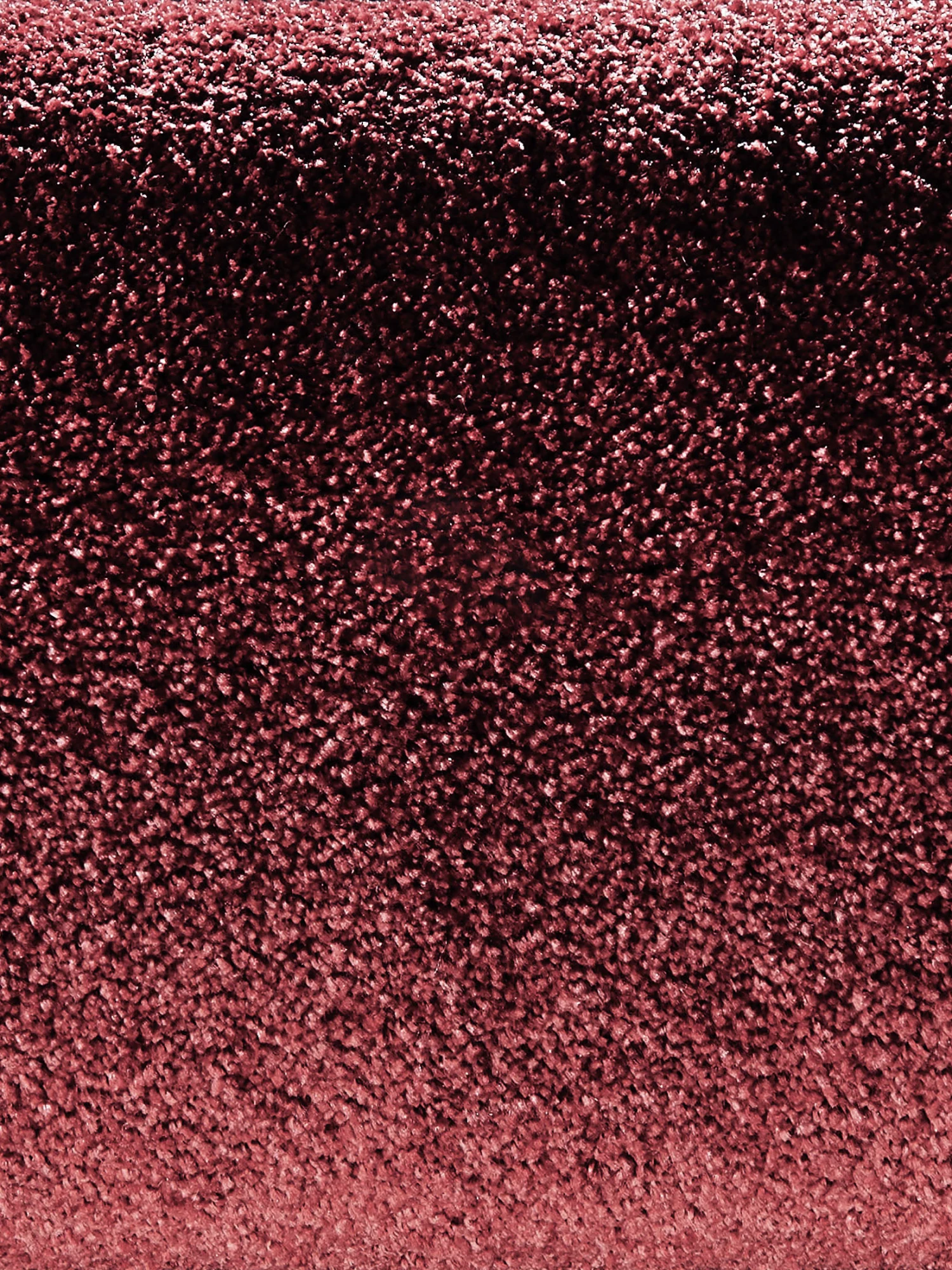 Velours-Teppichboden, Beere 19 6 Velours-Teppichboden, Beere 19 – Bild 4