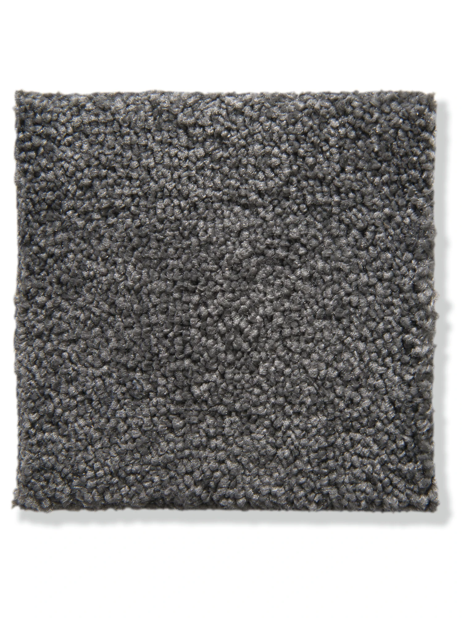 Titelseite 24 Titelseite -KayLa Verkaufsgeschäft Cirella VeloursTeppichboden Dunkelgrau Anthrazit97 10x10 lup